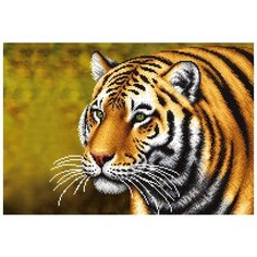 Набор для вышивания бисером Магия канвы Тигр, 39x27см (бисер в комплект не входит!)
