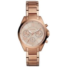 Наручные часы Fossil BQ3036