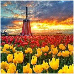 Алмазная мозаика Molly 30х30 см Поля тюльпанов в Нидерландах 27 цветов