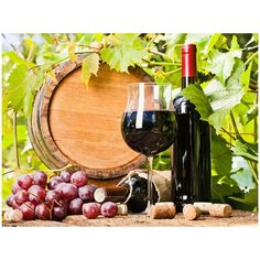 Алмазная мозаика с нанесенной рамкой Molly 40х50 см Фрукты и вино 36 цветов