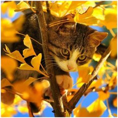 Алмазная мозаика Molly 30х30 см Кот на дереве 25 цветов