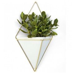 Декоративное настенное украшение Trigg Umbra