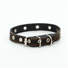 Ошейник кожаный однослойный с рифленными люверсами, 40 х 1,5 см, безразмерный, чёрный Пижон