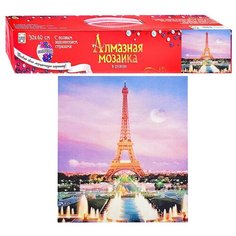 Алмазная мозаика 30х40 "Вечерний Париж" без подр с полн. заполн. (29цв) (класс) Рыжий кот