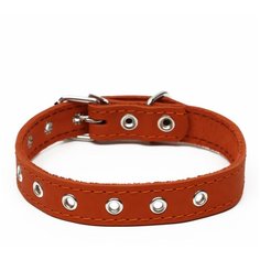 Ошейник кожаный однослойный, безразмерный, 56 х 2.5 см, оранжевый Пижон