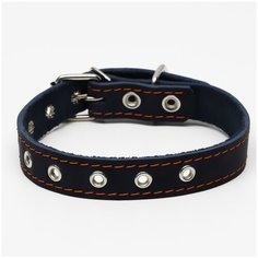 Ошейник кожаный однослойный, безразмерный, 56 х 2.5 см, синий Пижон