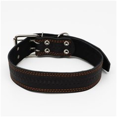 Ошейник кожаный с тиснением на синтепоне, 85 х 4.5 см, ОШ 50-70 см, чёрный Пижон
