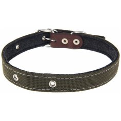 Ошейник брезентовый на фетре, 62 х 2,5 см, ОШ 30-55 см, тёмно-зелёный Пижон