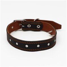 Ошейник кожаный "Строгий шип", 70 х 3,5 см, ОШ 45-60 см, чёрный Пижон