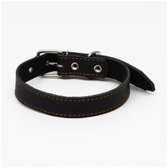 Ошейник кожаный на синтепоне, 65 х 3 см, ОШ 40-55 см, чёрный Пижон