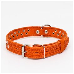 Ошейник кожаный Пижон однослойный, клепаный, 60*3 см, ОШ 45-57 см, рыжий
