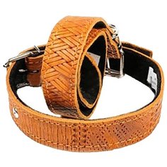 Кожанный ошейник с тиснением зоотехнология-м 30