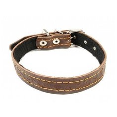 Кожанный ошейник с тиснением зоотехнология-м 20