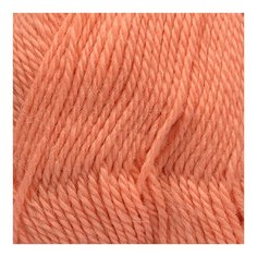 Пряжа для вязания камт Аргентинская шерсть (100% импортная п/т шерсть) 10х100г/200м цв.037 персик Камтекс