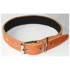 Ошейник кожаный зоотехнология-м 25, чистый