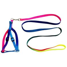 Антицарапки,шлейка с поводком,радуга