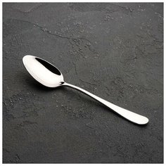 Ложка столовая 21 см, WL-999102 / A 4087192 Wilmax