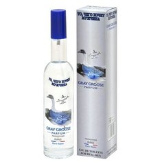 Positive Parfum Туалетная вода для мужчин ТО, чего хочет мужчина GRAY GROUSE PARFUM 100 мл
