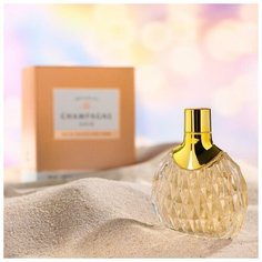 Туалетная вода женская Champagne Gold, 100 мл Ponti Parfum