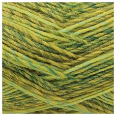 Пряжа Пехорка Ровница Мультиколоровая 200гр. 400м. (50%шерсть, 50%акрил) (1090 М) 5 шт