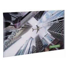 Папка-конверт с кнопкой бизнесменю, А4, 160 мкм, до 100 листов, цветная печать, 228055 16 шт.