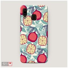 Чехол Пластиковый Samsung Galaxy A20 Постер с гранатами Case Place
