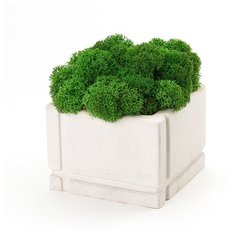 Кашпо бетонное со мхом Квадрат, циркон, OKTAUR