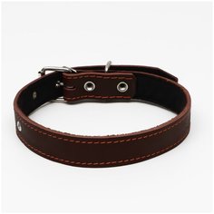 Ошейник кожаный на синтепоне, 65 х 3 см, ОШ 40-55 см, коричневый Пижон