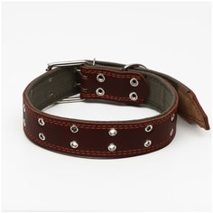 Ошейник комбинированный кожа/брезент, 83 х 4,5 см, безразмерный, коричневый Пижон