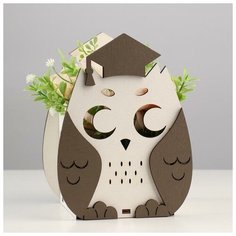 Кашпо деревянное для цветов и подарков "Совушка" с аппликацией, белое, 14*13*19 см Сима ленд