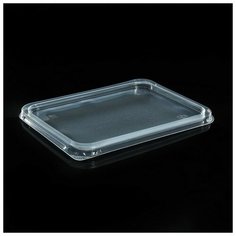 Мистерия Набор одноразовых крышек для контейнера, 17,9?13,2 см, 50 шт, цвет прозрачный