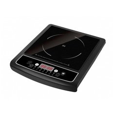 Плита индукционная Willmark WIP-529BC