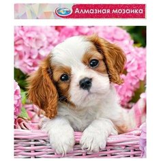 Алмазная мозаика без подрамника, частичное заполнение «Щенок» 40?50 см Сима ленд