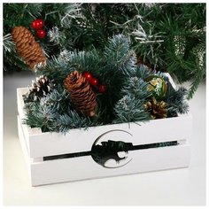 Кашпо деревянное двуреечное "Символ года 2022. Тигр" белое, 24,5х12,5х9 см Сима ленд