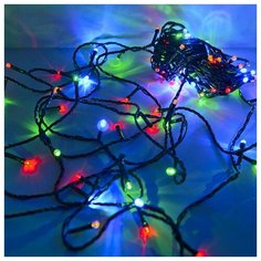 Гирлянда светодиодная рисовая Funray RL-110M