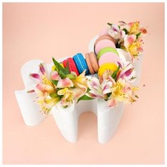 Пенобокс 28×25×10 см кашпо для цветов и подарков "Единорог, пони", белый 5525064 Сима ленд