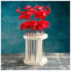 Дарим Красиво Кашпо деревянное 13?12?24 см с 9 колбами "Сердце", натуральный Дарим Красиво