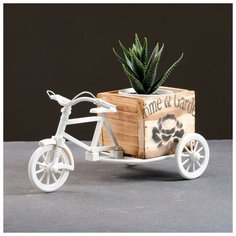 TAKE IT EASY Кашпо