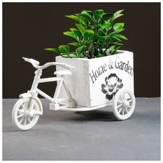 TAKE IT EASY Кашпо-велосипед 23*12*11см