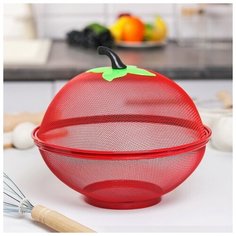 Доляна Сито с крышкой для хранения продуктов Доляна «Вкус», d=25 см, цвет микс