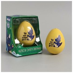 Школа талантов Набор для творчества. Вырасти своего питомца «Ты мой лучший друг!