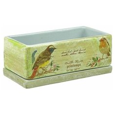 Горшок для цветов керамический Кактусник прямоугольный Сады Аурики