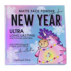 Beauty Fox Матирующая пудра для лица Your New Year Must Have темный беж