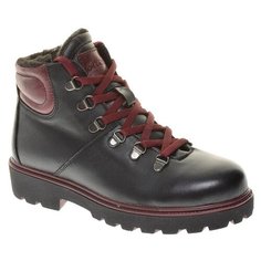 Ботинки Shoiberg женские зимние, размер 40, цвет черный, артикул 832-02-01-01AFW