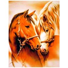 Алмазная мозаика на подрамнике 30х40см (круглые стразы, полная выкладка) GB77287 New World