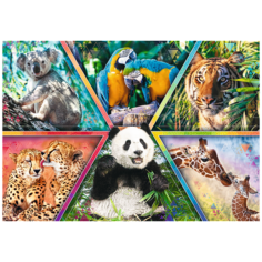 Пазлы 1000 деталей " Царство животных" Trefl