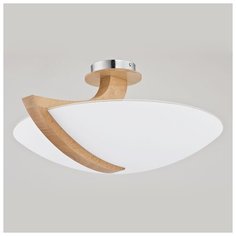 Потолочный светильник Alfa Calmi 90058