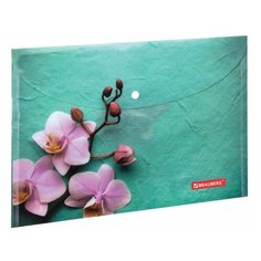 Папка-конверт с кнопкой BRAUBERG "FLOWER", А4, 160 мкм, до 100 листов, цветная печать, 228031
