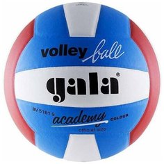 Волейбольный мяч Gala Academy синий/белый/красный