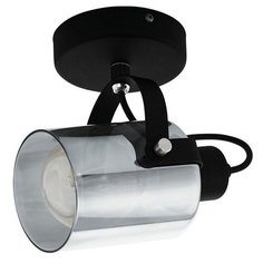 Спот Berregas 99052 (Eglo)